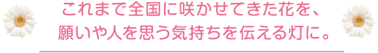 これまで全国に咲かせてきた花を、願いや人を思う気持ちを伝える灯に。